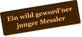 Ein wild gewordner junger Messler